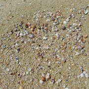 Baja2011 650 : Baja2011